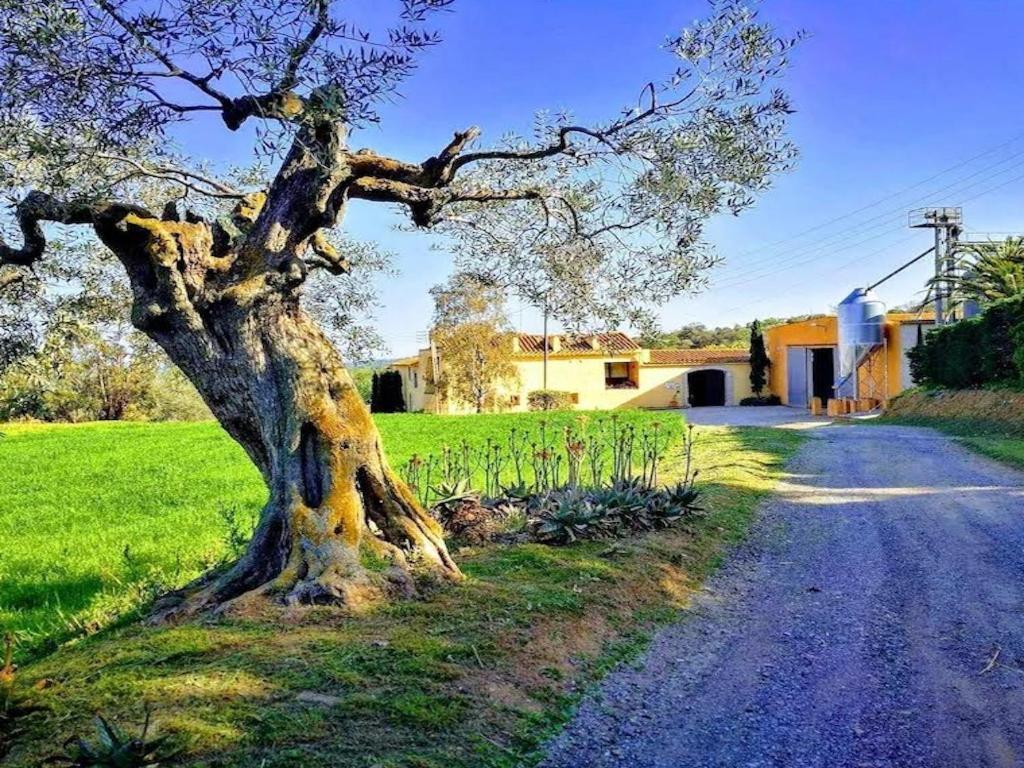 Rural Mas Hortus Villa Girona Eksteriør billede